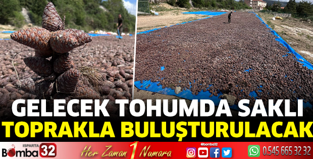 Gelecek tohumda saklı