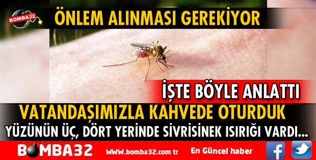 GELENDOST'TA SİVRİSİNEK SORUNU 