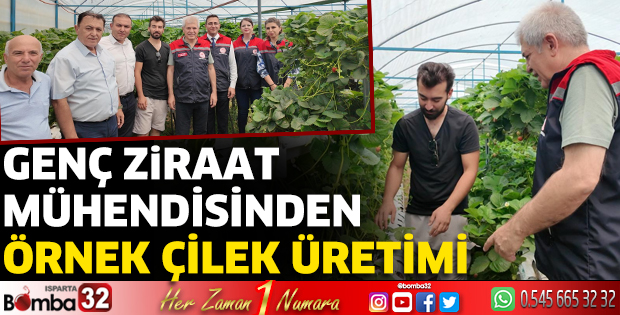 Genç ziraat mühendisinden örnek çilek üretimi