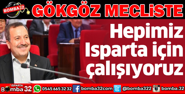 GÖKGÖZ MECLİSTE