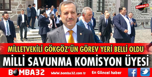 GÖKGÖZ MİLLİ SAVUNMA KOMİSYONUNDA