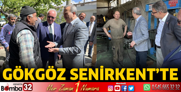 Gökgöz Senirkent'te