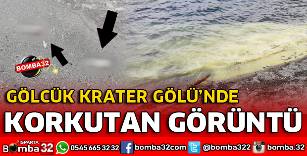 GÖLCÜK GÖLÜNDE KORKUTAN GÖRÜNTÜ