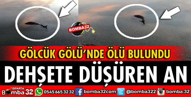 GÖLCÜK GÖLÜNDE ÖLÜ OLARAK BULUNDU