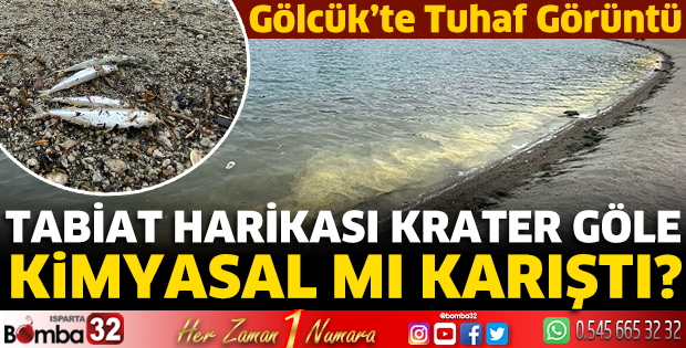 Gölcük’te tuhaf görüntü