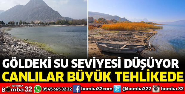 GÖLDEKİ SU SEVİYESİ DÜŞÜYOR, CANLILAR BÜYÜK TEHLİKEDE