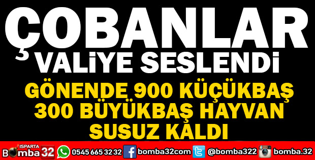 GÖNEN HACIBEY YAYLASINDA HAYVANLAR SUSUZ KALDI