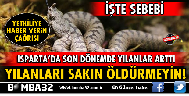 GÖRDÜĞÜNÜZ YILANLARI SAKIN ÖLDÜRMEYİN