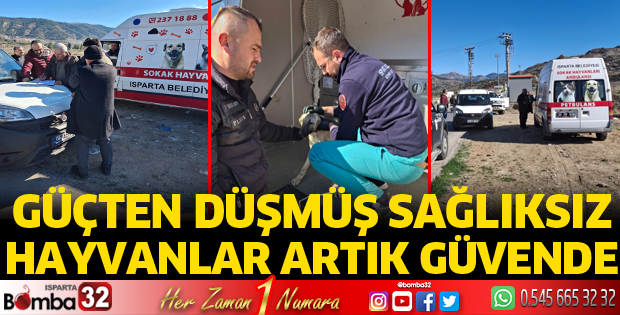 Güçten düşmüş sağlıksız hayvanlar artık güvende