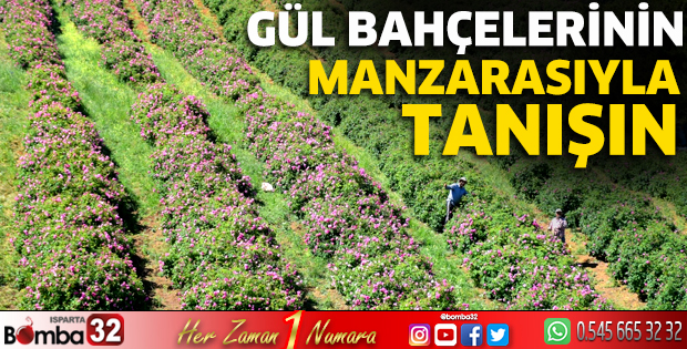 Gül bahçelerinin manzarasıyla tanışın