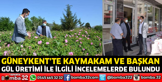 Gül ile ilgili incelemelerde bulundular