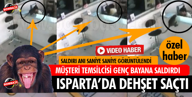 GÜL PETEK SANAYİDE MAYMUN DEHŞETİ!