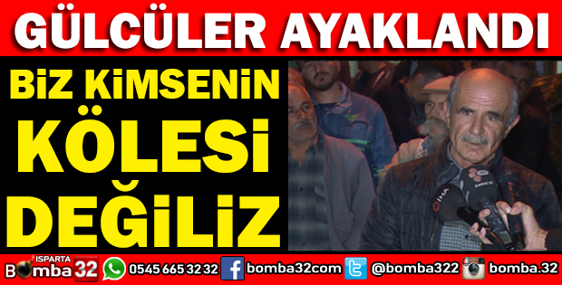 GÜL ÜRETİCİLERİ AYAKLANDI