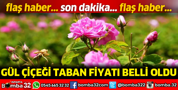 GÜLÇİÇEĞİ TABAN FİYATI BELLİ OLDU