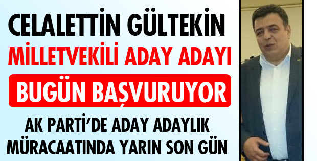 GÜLTEKİN ADAY ADAYI