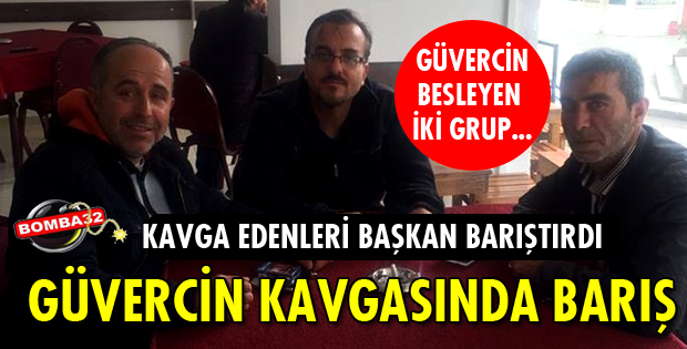 GÜVERCİN KAVGASI BÜYÜMEDEN YATIŞTIRILDI