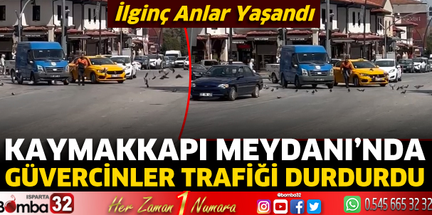 Güvercinler trafiği durdurdu