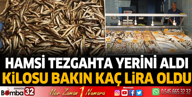 Hamsi sezonu başladı