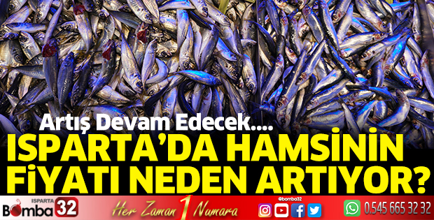 Hamsinin fiyatı neden artıyor?