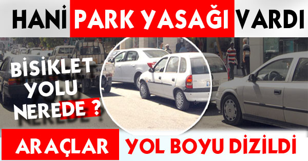 Hani Park Yapılmayacaktı?