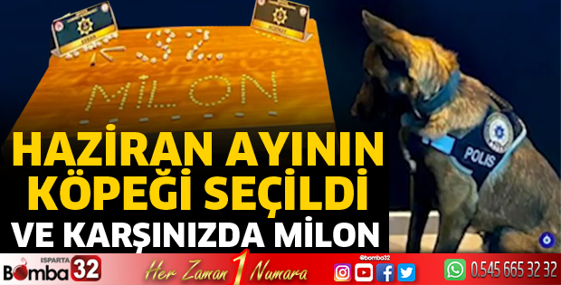 Harikasın Milon
