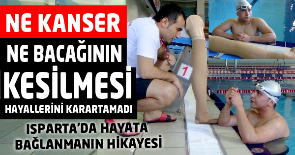 Hayata Bağlanmanın Hikayesi