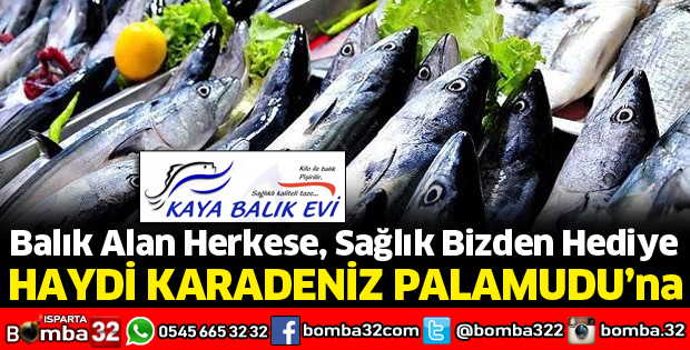 HAYDİ KARADENİZ PALAMUDUNA