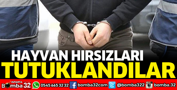 HAYVAN HIRSIZLARI TUTUKLANDI