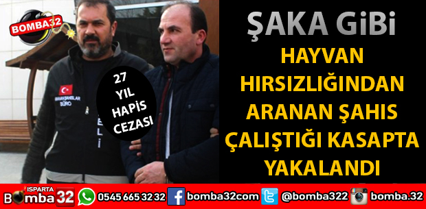 HAYVAN HIRSIZLIĞINDAN ARANIYORDU KASAPTA YAKALANDI
