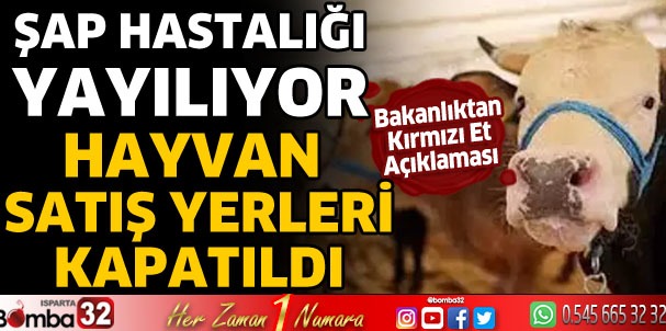 Hayvan satış yerleri kapatılıyor