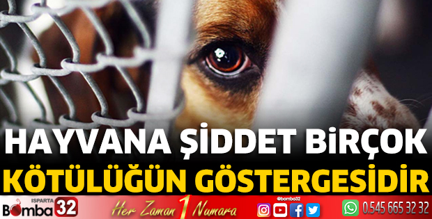 Hayvana şiddet birçok kötülüğün göstergesidir