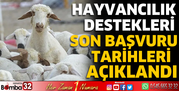 Hayvancılık destekleri son başvuru tarihleri açıklandı