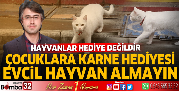 Hayvanlar hediye değildir