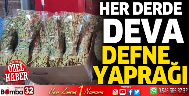 Her derde deva defneyaprağı