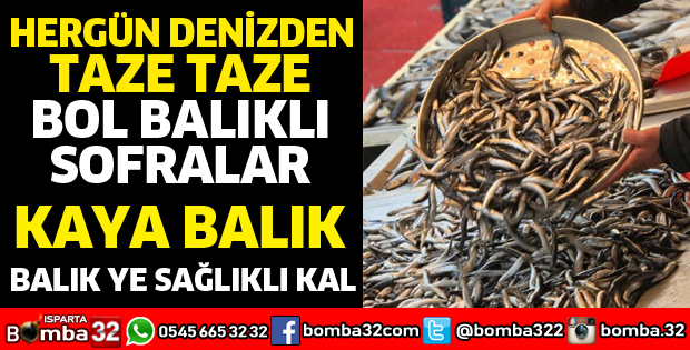 HER GÜN DENİZDEN TAZE TAZE BOL BALIKLI SOFRALAR