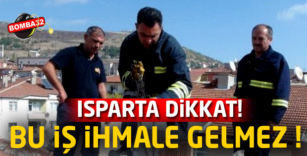 HER ZAMAN ÖNEMLİDİR