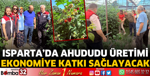 İl Müdürü Tuğrul’dan ahududu üretim alanlarına ziyaret