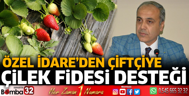 İl Özel İdare’den çiftçiye çilek fidesi desteği