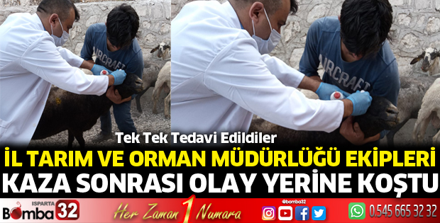 İl Tarım ve Orman Müdürlüğü ekipleri olay yerine koştu