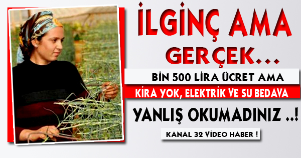 İlginç ama gerçek…