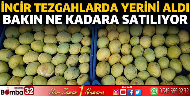 İncir tezgahlarda yerini aldı 