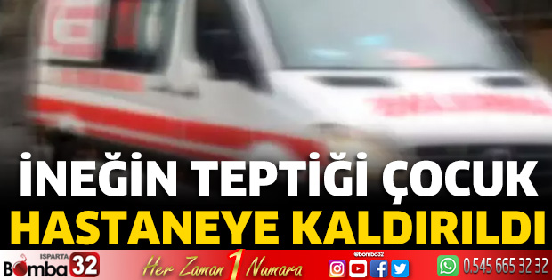 İneğin teptiği çocuk hastaneye kaldırıldı 