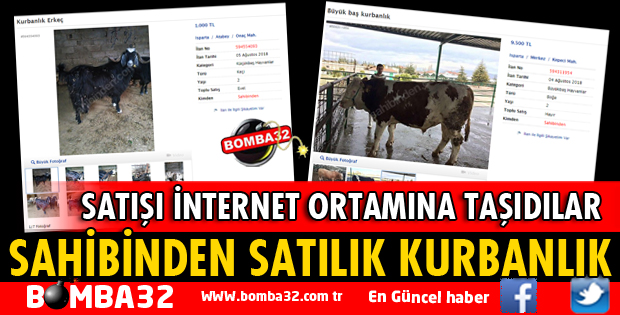 İNTERNETTE SAHİBİNDEN KURBANLIK SATIŞI