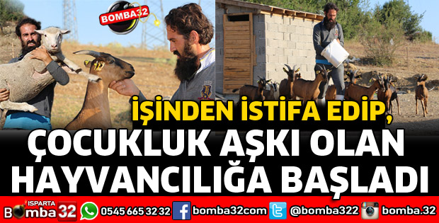 İŞİNDEN İSTİFA EDİP ÇOCUKLUK AŞKI OLAN HAYVANCILIĞA BAŞLADI