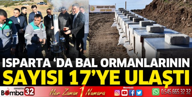 Isparta ‘da Bal Ormanlarının Sayısı 17’ye Ulaştı
