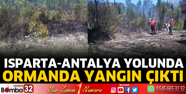 Isparta-Antalya yolunda orman yangını