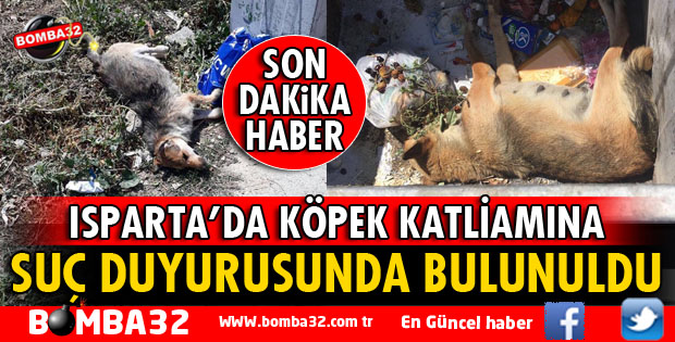 ISPARTA BAROSUNDAN KÖPEK KATLİAMINA SUÇ DUYURUSU