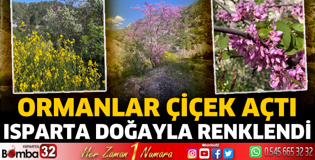 Isparta doğayla renklendi