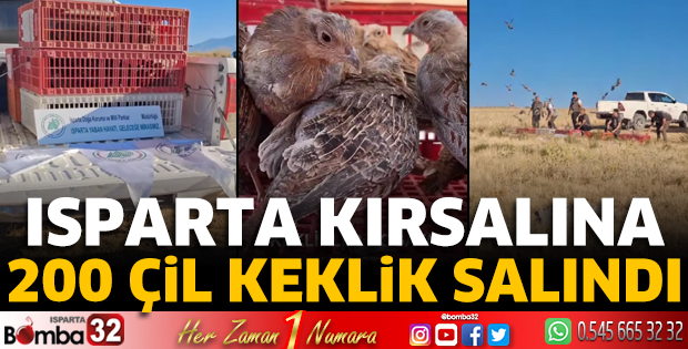 Isparta kırsalına 200 çil keklik salındı
