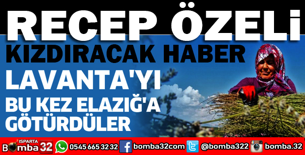 ISPARTA LAVANTASINI BU KEZ  ELAZIĞA GÖTÜRDÜLER